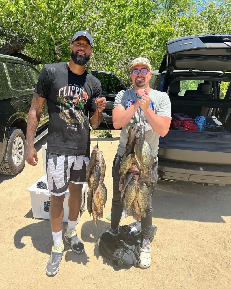 的防守体系 的防守体系