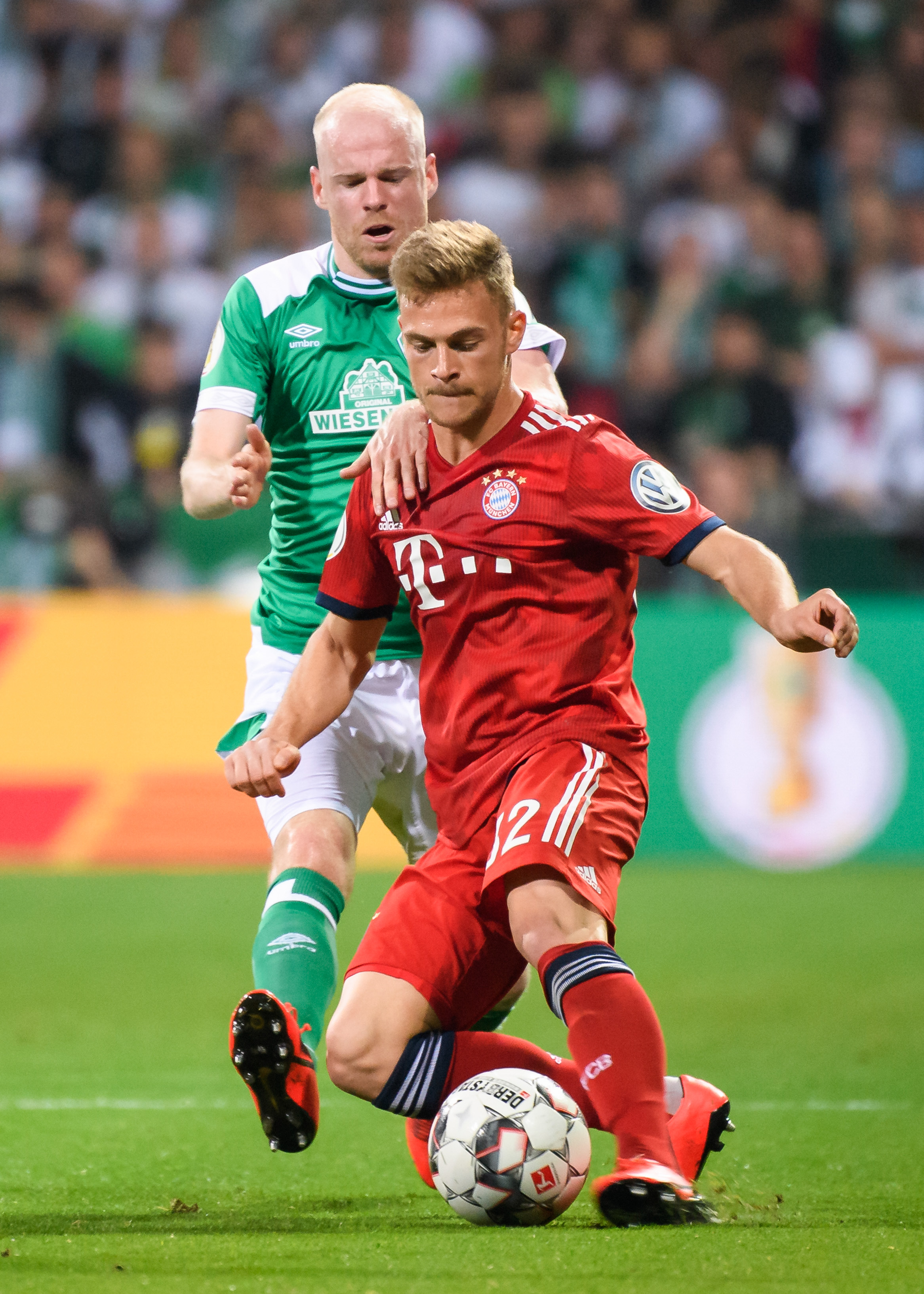 轻化路线上 轻化路线上