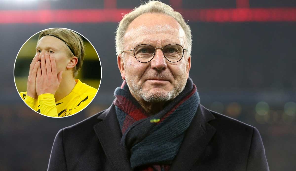 子篮球营 子篮球营